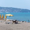 Una spiaggia con ombrelloni gialli e un cane sotto un ombrellone.