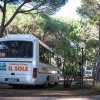 Camping Village Il Sole (GR) Toscana