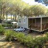 Camping Free Beach (LI) Toscana