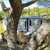 Camping Free Beach (LI) Toscana