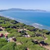 Vista aerea di mare, spiaggia e pini.