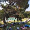 Una piscina esterna circondata da lettini e alberi, con persone che nuotano e prendono il sole.