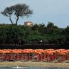 Camping Village Pappasole (LI) Toscana